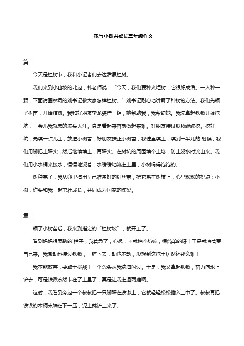 我与小树共成长三年级作文