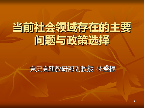 当前社会领域存在的主要问题与政策PPT课件