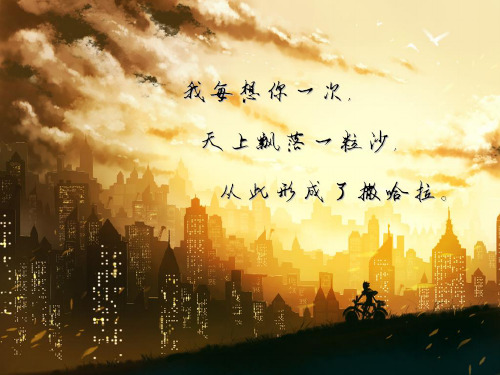 撒哈拉的故事