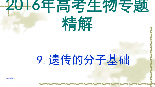 高考生物专题精讲ppt课件(9)遗传的分子基础(共42张)