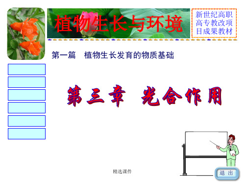 植物生长与环境版演示课件.ppt