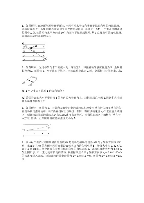 磁场Microsoft Word 文档