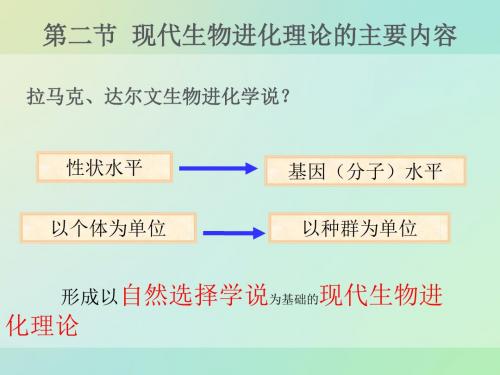 高级中学苏教版高中生物必修二：5.1.2 现代生物进化理论 课件