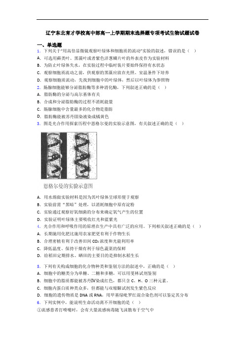 辽宁东北育才学校高中部高一上学期期末选择题专项考试生物试题试卷