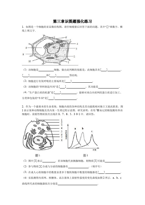 必修一第三章《细胞的基本结构》识图题强化练习(附答案)