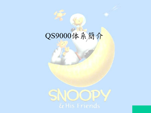 QS9000体系简介资料讲解