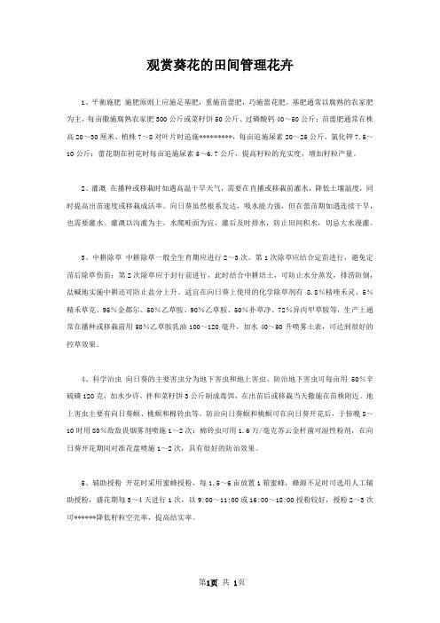 观赏葵花的田间管理花卉