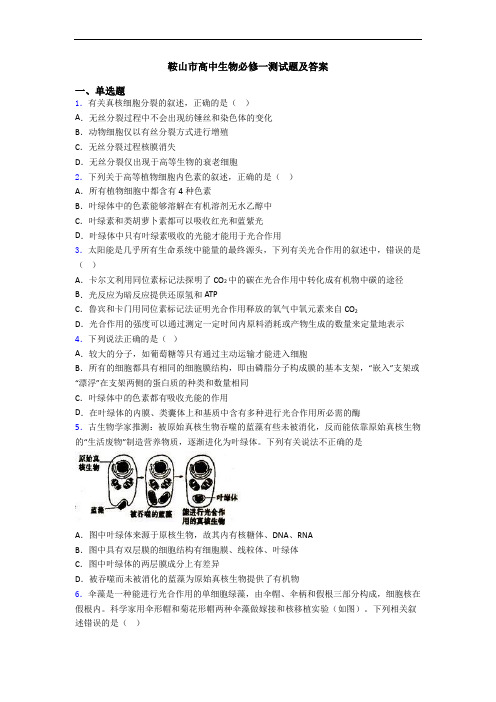 鞍山市高中生物必修一测试题及答案