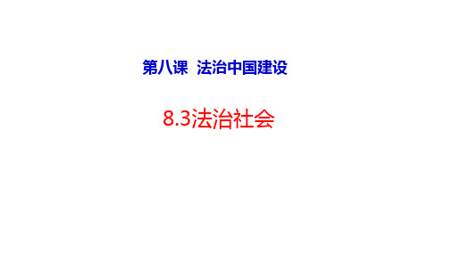 8.3法治社会-高中政治统编版(2019)必修三课件(共20张PPT)