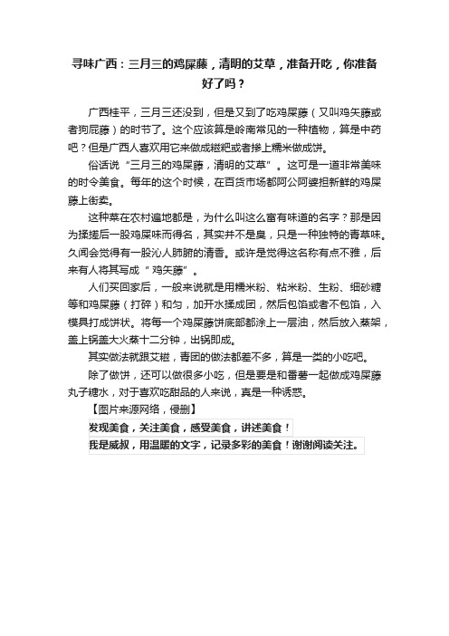 寻味广西：三月三的鸡屎藤，清明的艾草，准备开吃，你准备好了吗？