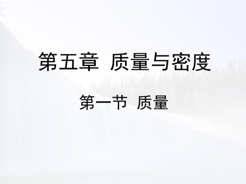 《质量》名师课件