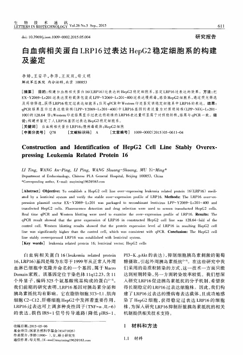 白血病相关蛋白LRP16过表达HepG2稳定细胞系的构建及鉴定