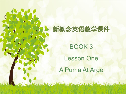 新概念英语第三册PPT课件：NCE3_lesson01-02-03(共29页)