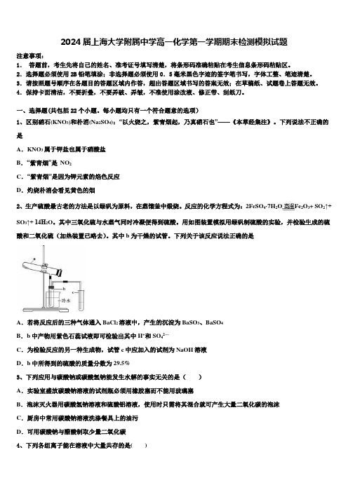 2024届上海大学附属中学高一化学第一学期期末检测模拟试题含解析