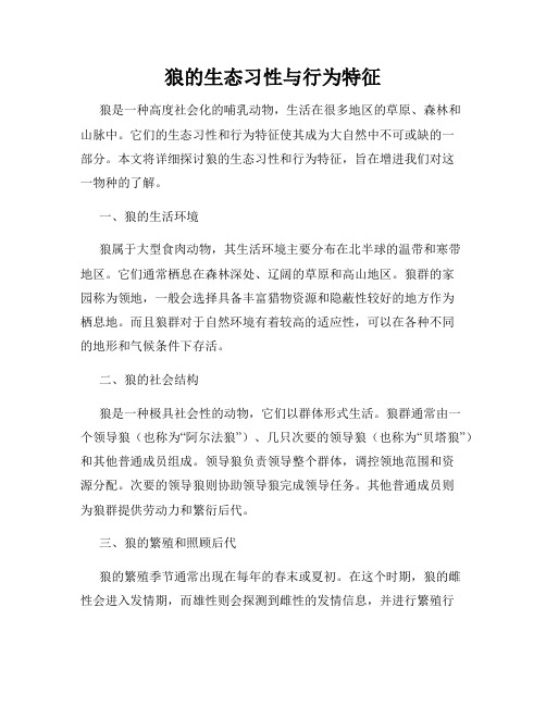 狼的生态习性与行为特征