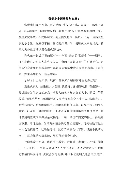 我是小小消防员作文篇7篇