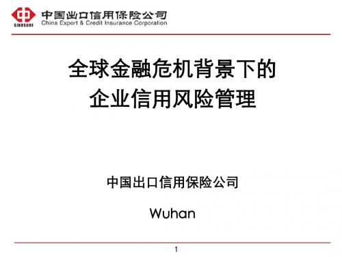 企业信用风险管理交流