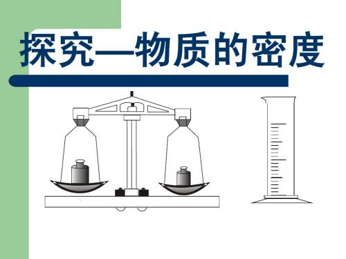 北师大版八年级物理上册第二章密度