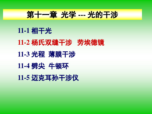 大学物理11-2杨氏双缝干涉实验 劳埃德镜