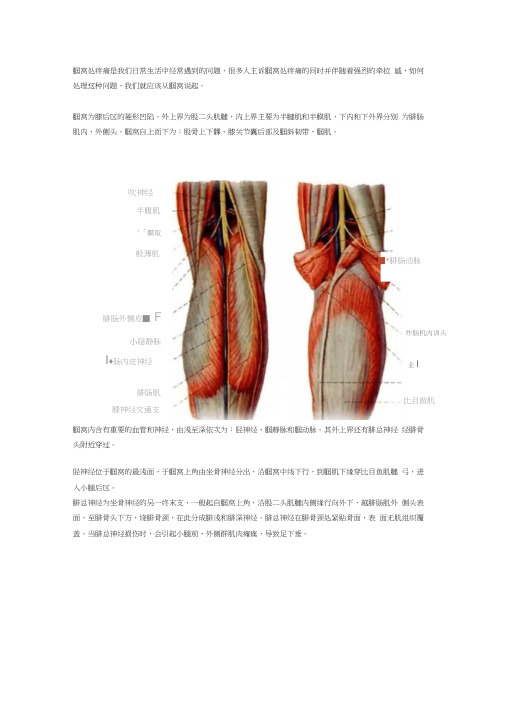 腘窝处疼痛的常见原因