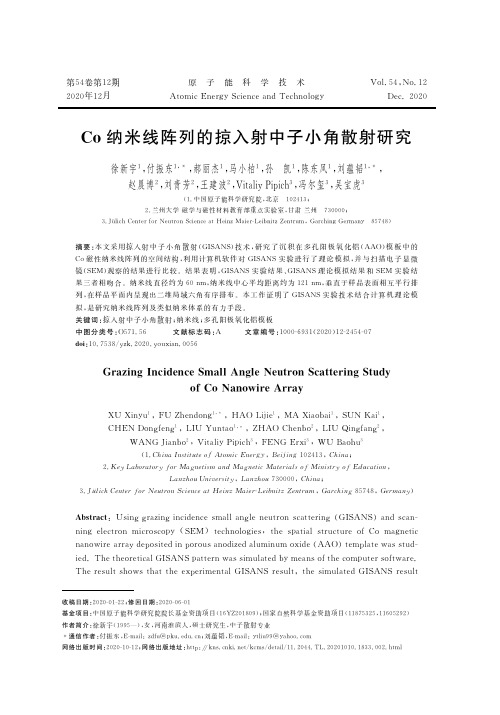 Co纳米线阵列的掠入射中子小角散射研究