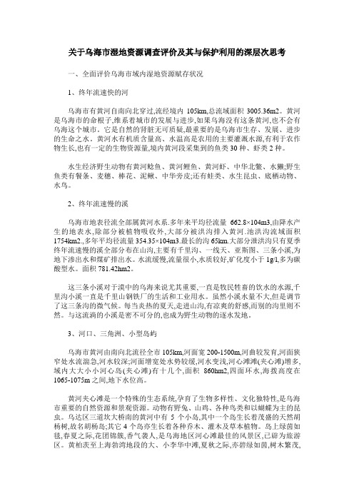 关于乌海市湿地资源调查评价及其与保护利用的深层次思考