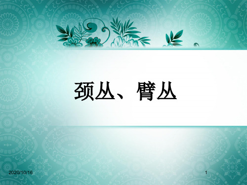 颈丛、臂丛PPT教学课件