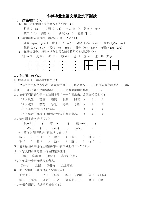 小学毕业生语文学业水平测试