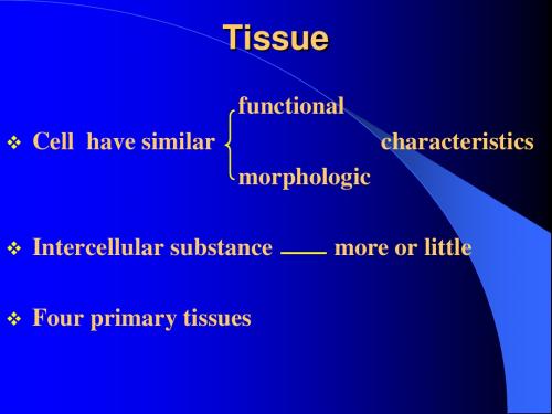 组胚2.EPITHELIUM