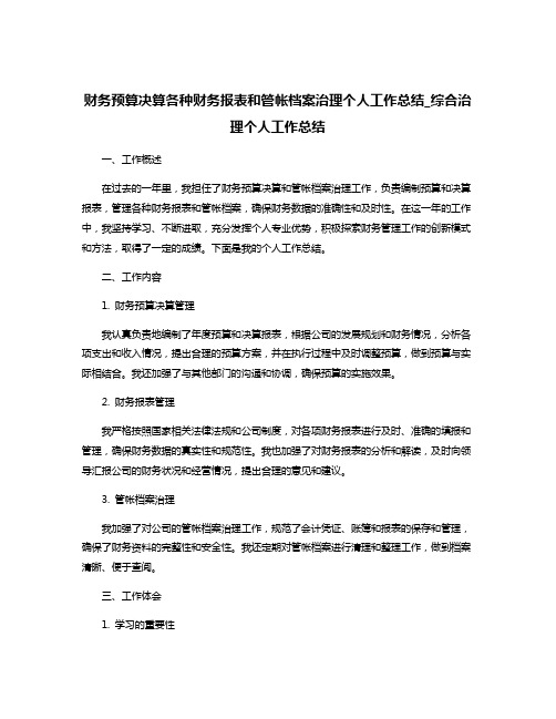 财务预算决算各种财务报表和管帐档案治理个人工作总结_综合治理个人工作总结