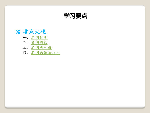 初中语法名词专题ppt课件