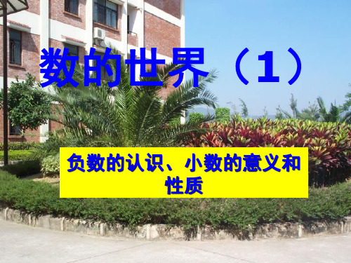 五年级数学正负数及小数的意义和性质复习(2019年10月)