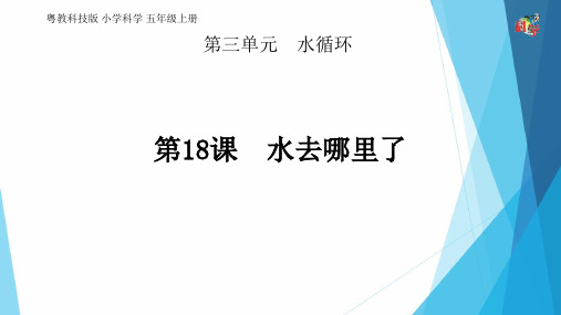 五年级上册科学课件 18.水去哪里了(粤教版)(共22页)PPT