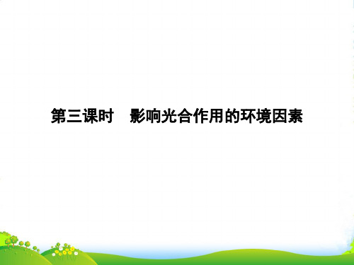 高中生物苏教版必修1课件：4.2.2 影响光合作用的环境因素