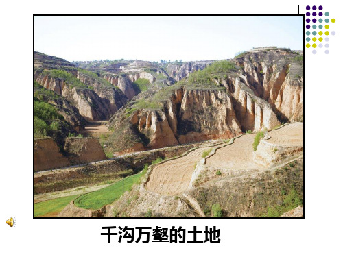 人教版地理八年级下册：6.3 世界最大的黄土堆积区──黄土高原 (共18张PPT)