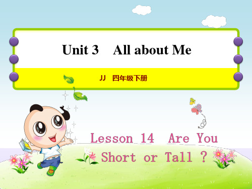 冀教版英语四年级下册 Unit 3 Lesson 14 Are You Short or Tall作业课件