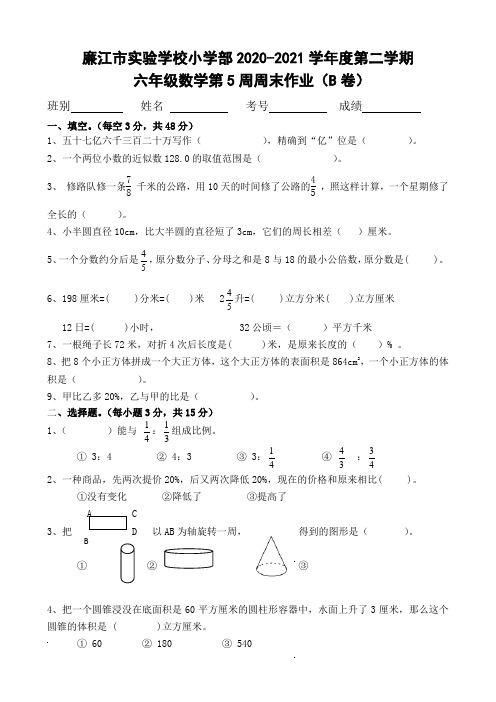 广东省廉江市实验学校六年级下学期数学第5周周末作业B