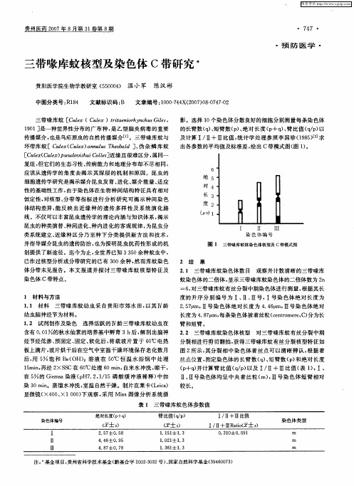 三带喙库蚊核型及染色体C带研究