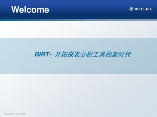 BIRT培训