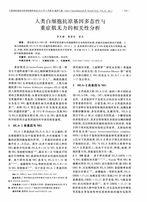 人类白细胞抗原基因多态性与重症肌无力的相关性分析