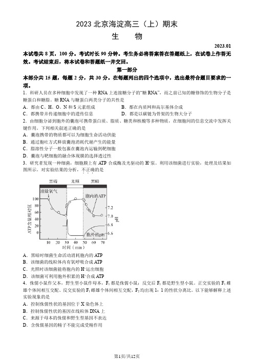 2023北京海淀高三(上)期末生物(附解析)