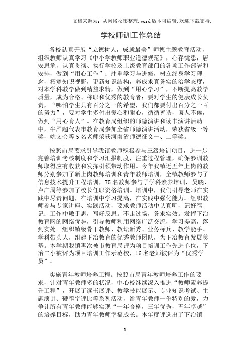 学校师训工作总结