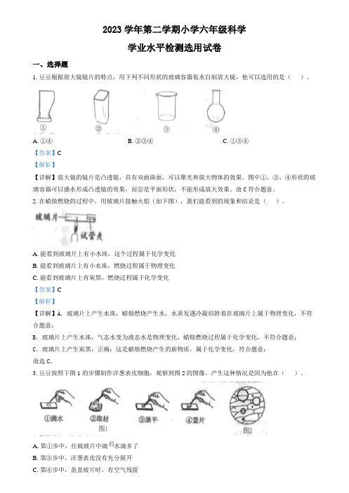 精品解析：浙江省台州市路桥区2024年教科版六年级下册小升初考试科学试卷(解析版)