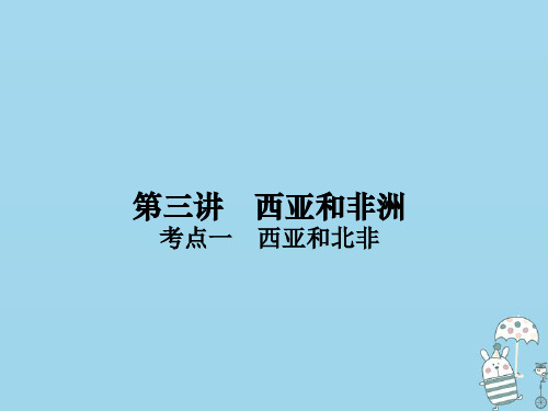 (新课标)2021版高考地理一轮总复习第十三章世界地理分区第三讲西亚和非洲课件