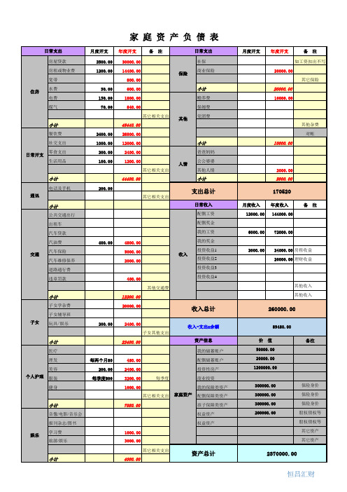 家庭资产负债表 精制版 