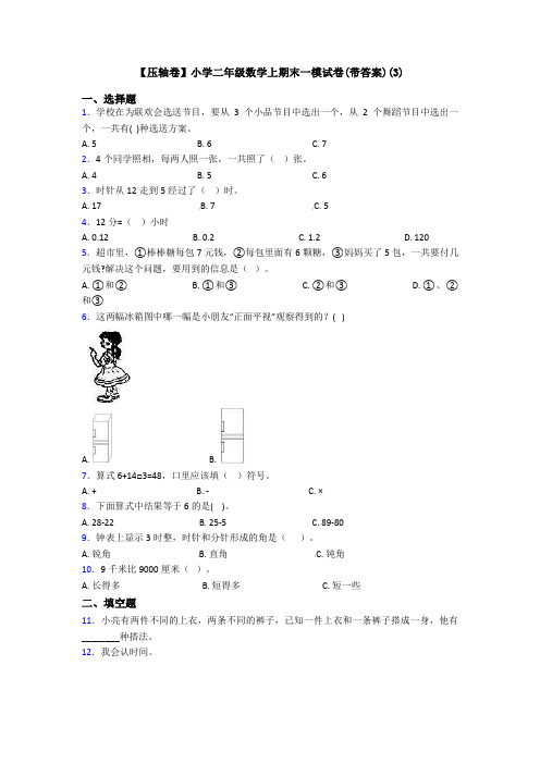 【压轴卷】小学二年级数学上期末一模试卷(带答案)(3)