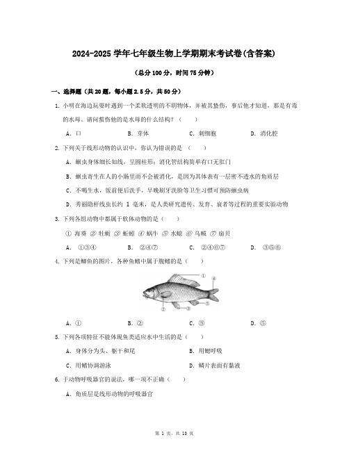 2024-2025学年七年级生物上学期期末考试卷(含答案)