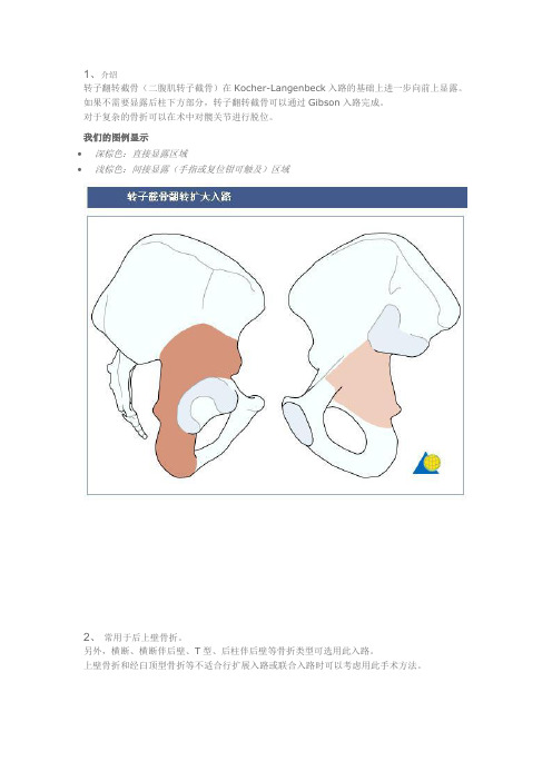 髋臼转子截骨翻转扩大入路