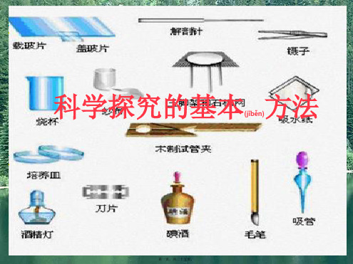 七年级生物上册 1.2.2《生物学研究的基本方法》课件1