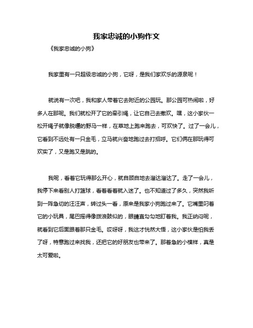 我家忠诚的小狗作文